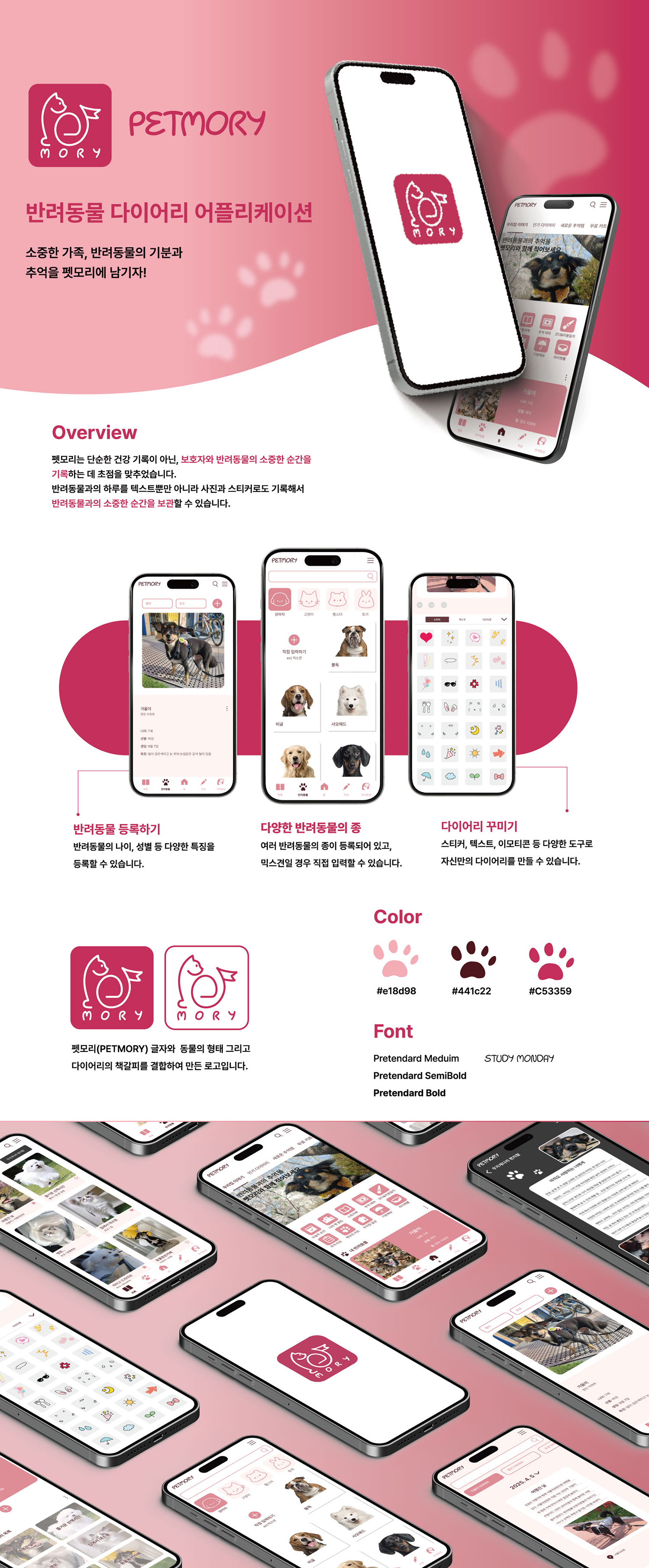 김도영 PETMORY